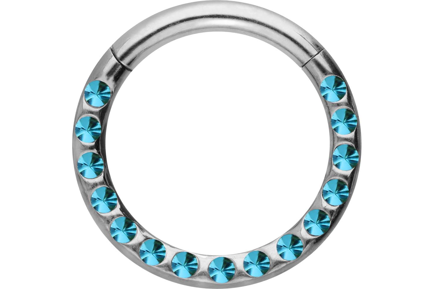 Chirurgenstahl Segmentring Clicker Piercing KRISTALLE + EPOXY ++SALE++